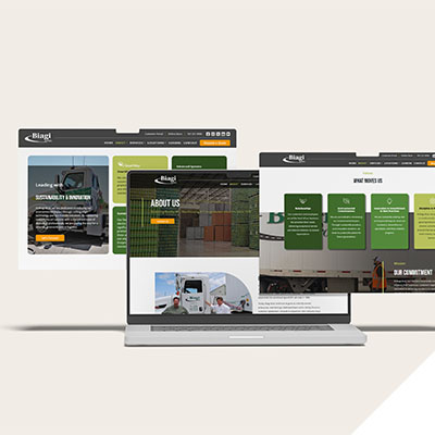 Custom Websites and Digital Platforms