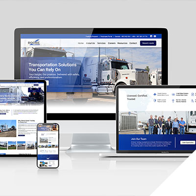 Custom Websites and Digital Platforms