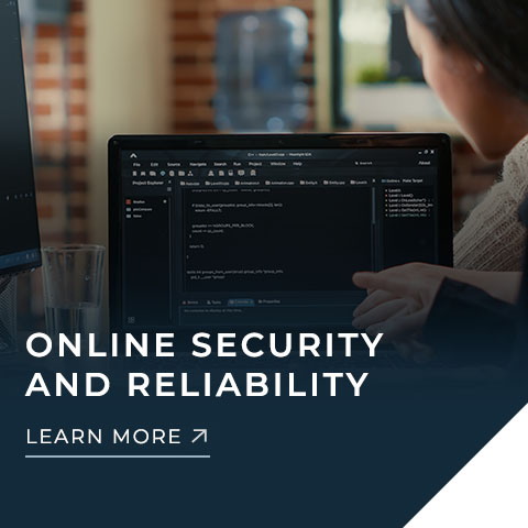 Online Security and Reliability
